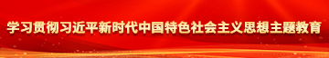 抹胸舔鸡吧视频网站学习贯彻习近平新时代中国特色社会主义思想主题教育